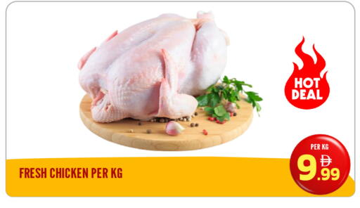 available at دريم لاند in الإمارات العربية المتحدة , الامارات - الشارقة / عجمان