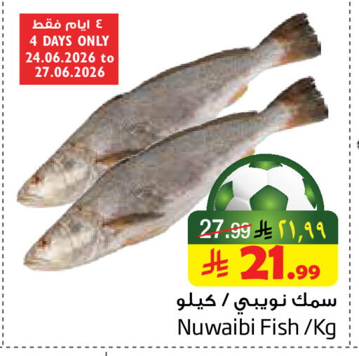 available at Layan Hyper in KSA, Saudi Arabia, Saudi - Dammam