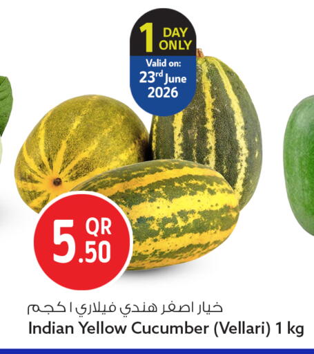 Cucumber from India available at سفاري هايبر ماركت in قطر - الخور