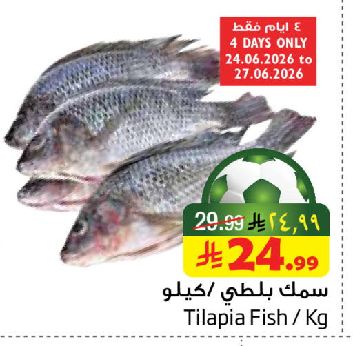 available at Layan Hyper in KSA, Saudi Arabia, Saudi - Dammam