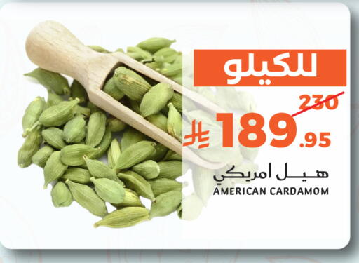 Cardamom available at ميرا مارت مول in مملكة العربية السعودية, السعودية, سعودية - جدة