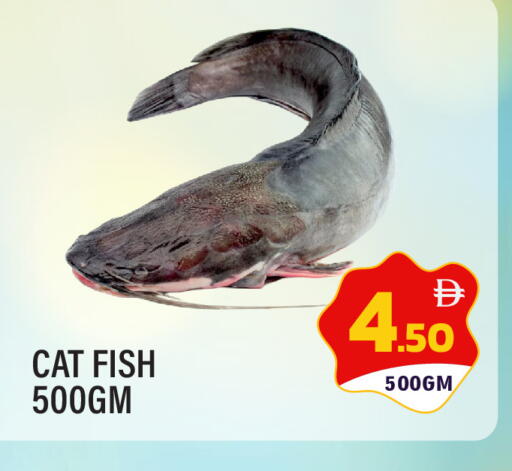 available at دريم لاند in الإمارات العربية المتحدة , الامارات - الشارقة / عجمان