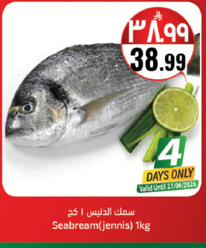 available at ستي فلاور in مملكة العربية السعودية, السعودية, سعودية - حائل‎