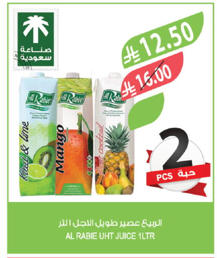 Mango available at Farm  in KSA, Saudi Arabia, Saudi - Abha