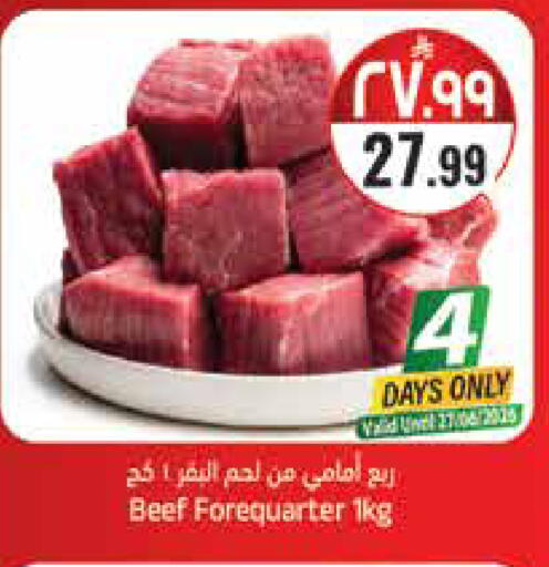 available at City Flower in KSA, Saudi Arabia, Saudi - Sakaka