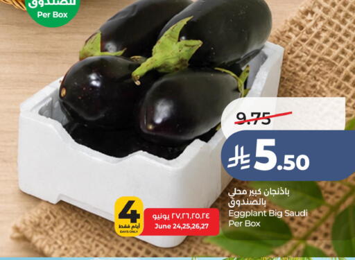 Eggplant from Saudi Arabia available at LULU Hypermarket in KSA, Saudi Arabia, Saudi - Hafar Al Batin