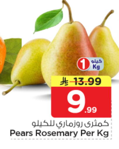 Rosemary available at نستو in مملكة العربية السعودية, السعودية, سعودية - الأحساء‎