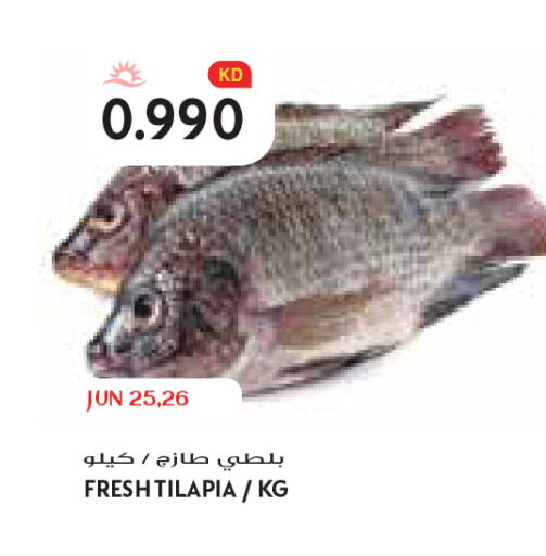 available at Grand Costo in Kuwait - Kuwait City