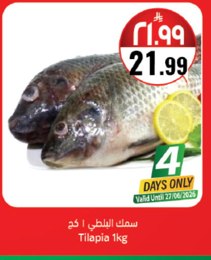 available at ستي فلاور in مملكة العربية السعودية, السعودية, سعودية - حائل‎