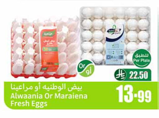 available at Othaim Markets in KSA, Saudi Arabia, Saudi - Al Hasa