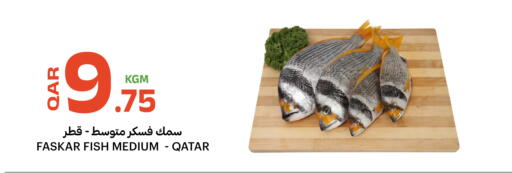 available at البلدي اليوم in قطر - الخور