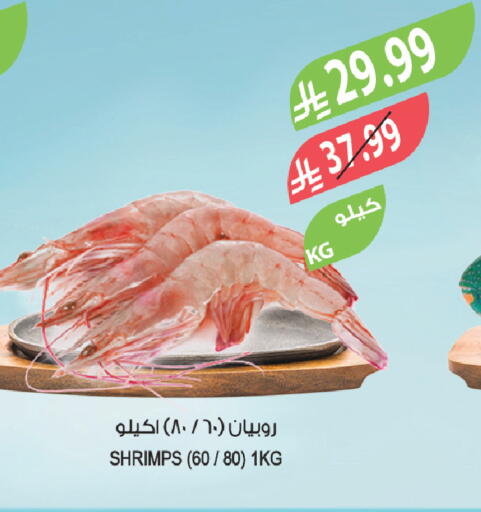 available at Farm  in KSA, Saudi Arabia, Saudi - Jazan
