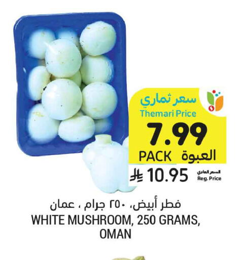Mushroom from Oman available at Tamimi Market in KSA, Saudi Arabia, Saudi - Tabuk