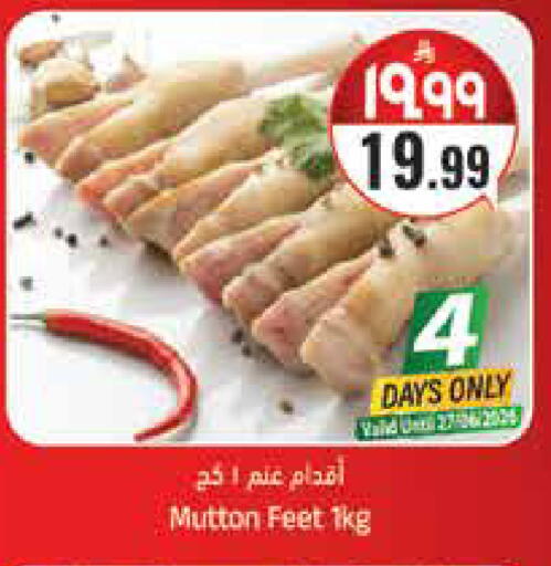 available at ستي فلاور in مملكة العربية السعودية, السعودية, سعودية - سكاكا