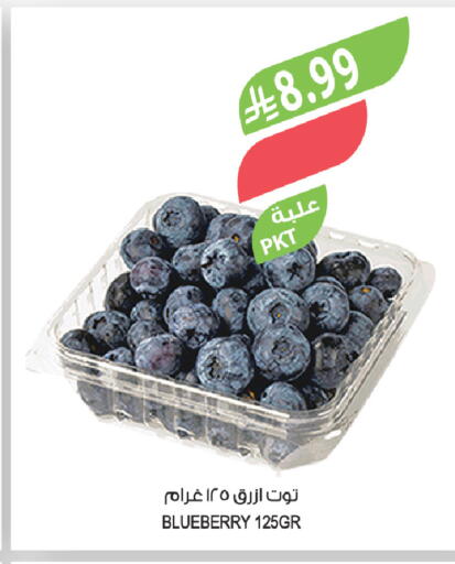 Blueberry BlueBerry available at Farm  in KSA, Saudi Arabia, Saudi - Abha