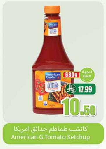 Tomato available at Othaim Markets in KSA, Saudi Arabia, Saudi - Al Hasa