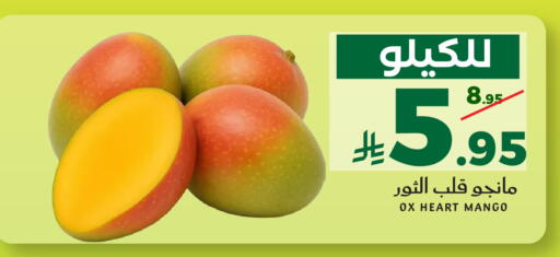 Mango available at ميرا مارت مول in مملكة العربية السعودية, السعودية, سعودية - جدة