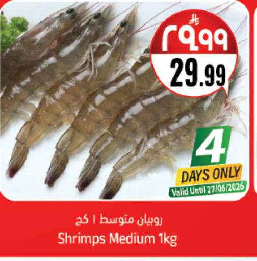 available at City Flower in KSA, Saudi Arabia, Saudi - Jubail