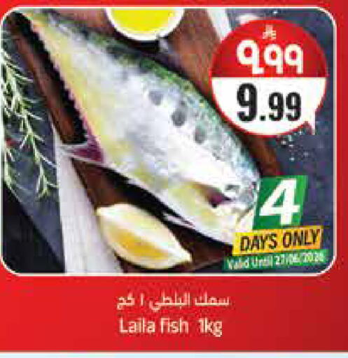 available at ستي فلاور in مملكة العربية السعودية, السعودية, سعودية - سكاكا