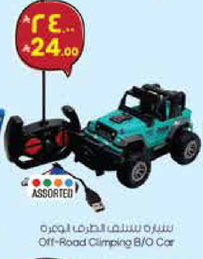 available at ستي فلاور in مملكة العربية السعودية, السعودية, سعودية - سكاكا
