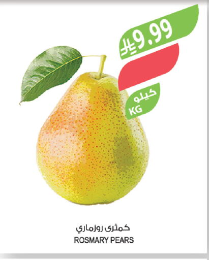 available at Farm  in KSA, Saudi Arabia, Saudi - Abha