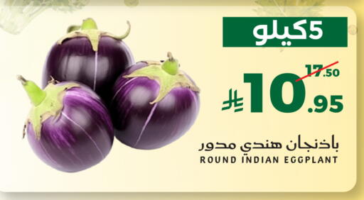 Eggplant from India available at ميرا مارت مول in مملكة العربية السعودية, السعودية, سعودية - جدة