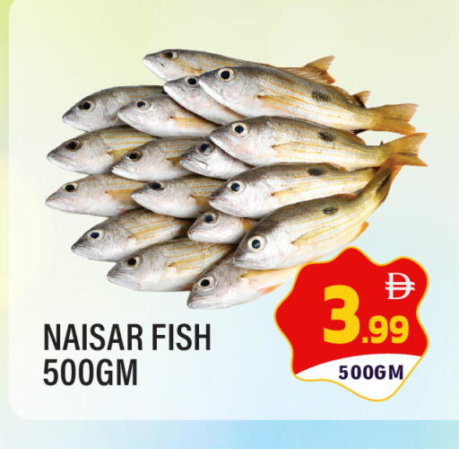 available at دريم لاند in الإمارات العربية المتحدة , الامارات - الشارقة / عجمان