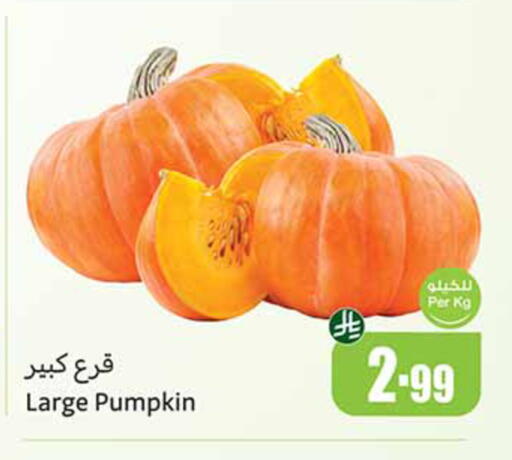 Pumpkin available at Othaim Markets in KSA, Saudi Arabia, Saudi - Tabuk