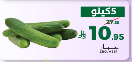 Cucumber available at ميرا مارت مول in مملكة العربية السعودية, السعودية, سعودية - جدة