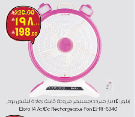 available at ستي فلاور in مملكة العربية السعودية, السعودية, سعودية - حائل‎