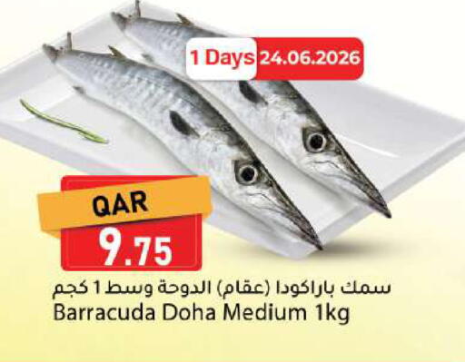 available at دانا ماركت in قطر - الدوحة