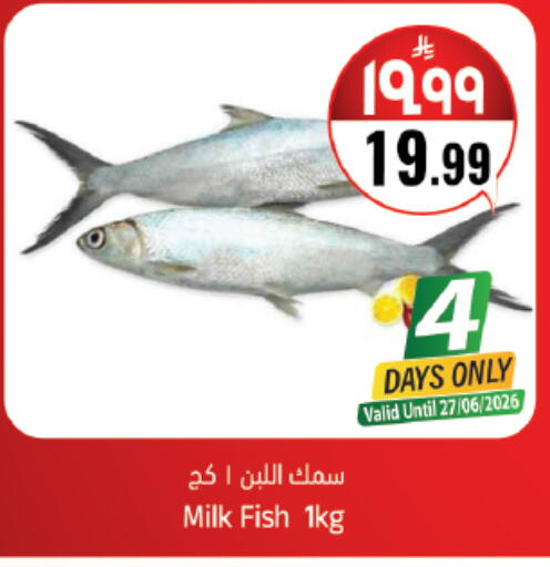 available at City Flower in KSA, Saudi Arabia, Saudi - Jubail