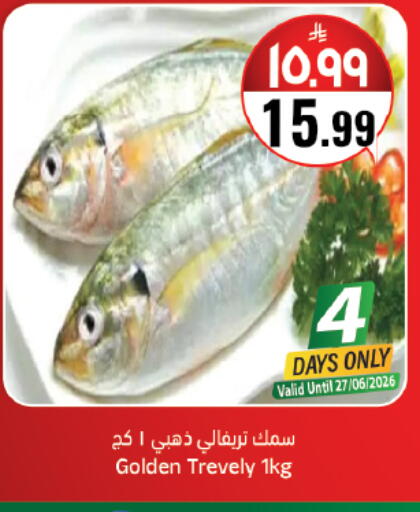 available at ستي فلاور in مملكة العربية السعودية, السعودية, سعودية - حائل‎