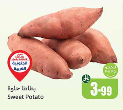 Sweet Potato available at Othaim Markets in KSA, Saudi Arabia, Saudi - Tabuk