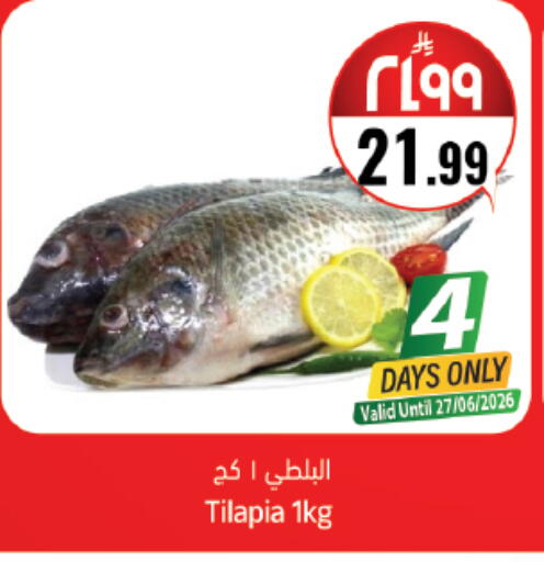 available at City Flower in KSA, Saudi Arabia, Saudi - Jubail