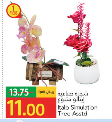 available at جلف فود سنتر in قطر - الوكرة