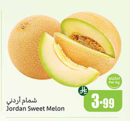 Melon from Jordan available at Othaim Markets in KSA, Saudi Arabia, Saudi - Arar