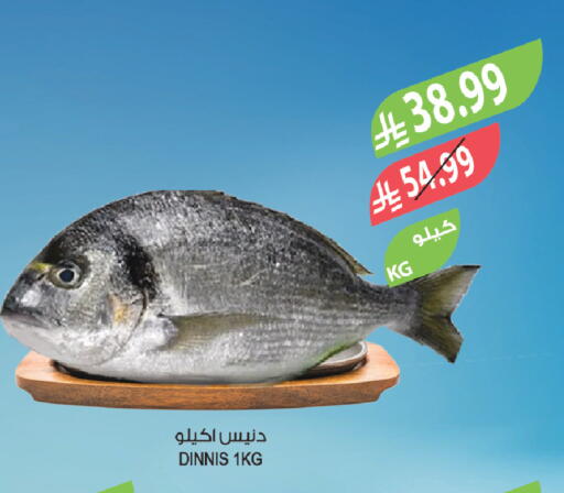 available at Farm  in KSA, Saudi Arabia, Saudi - Jazan