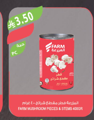 Mushroom available at Farm  in KSA, Saudi Arabia, Saudi - Abha