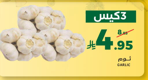 Garlic available at ميرا مارت مول in مملكة العربية السعودية, السعودية, سعودية - جدة
