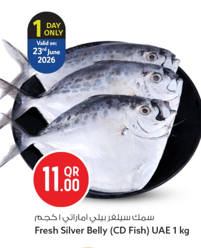 available at Safari Hypermarket in Qatar - Al Rayyan