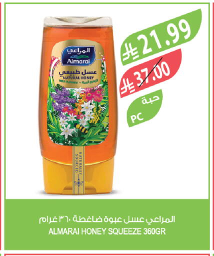 available at المزرعة in مملكة العربية السعودية, السعودية, سعودية - أبها