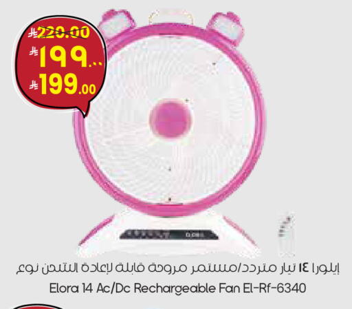 available at ستي فلاور in مملكة العربية السعودية, السعودية, سعودية - عرعر