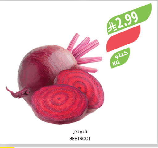 Beetroot available at المزرعة in مملكة العربية السعودية, السعودية, سعودية - أبها