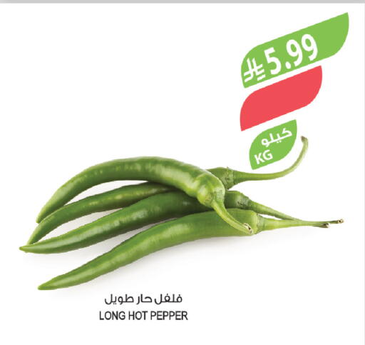 Pepper available at المزرعة in مملكة العربية السعودية, السعودية, سعودية - أبها
