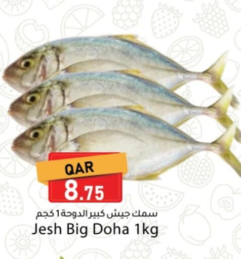 available at دانا ماركت in قطر - الخور