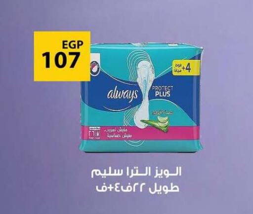 available at Fathalla Market  in Egypt - Cairo