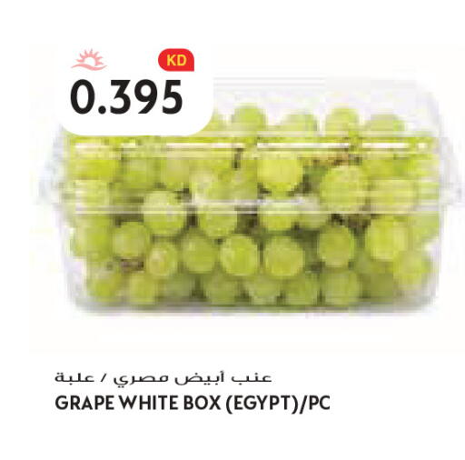 from Egypt available at Grand Costo in Kuwait - Kuwait City