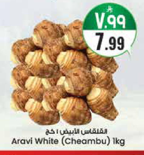 available at ستي فلاور in مملكة العربية السعودية, السعودية, سعودية - سكاكا