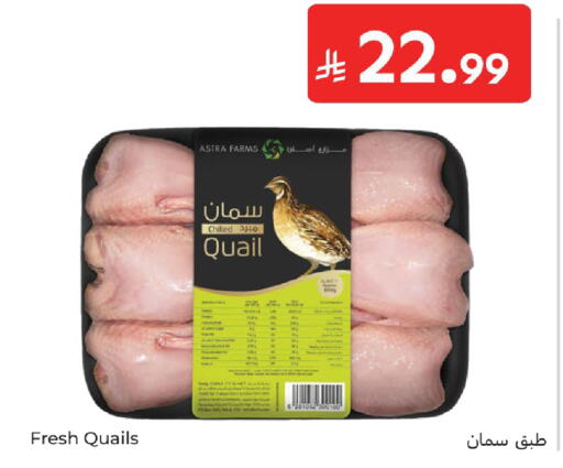 available at كارفور in مملكة العربية السعودية, السعودية, سعودية - بريدة